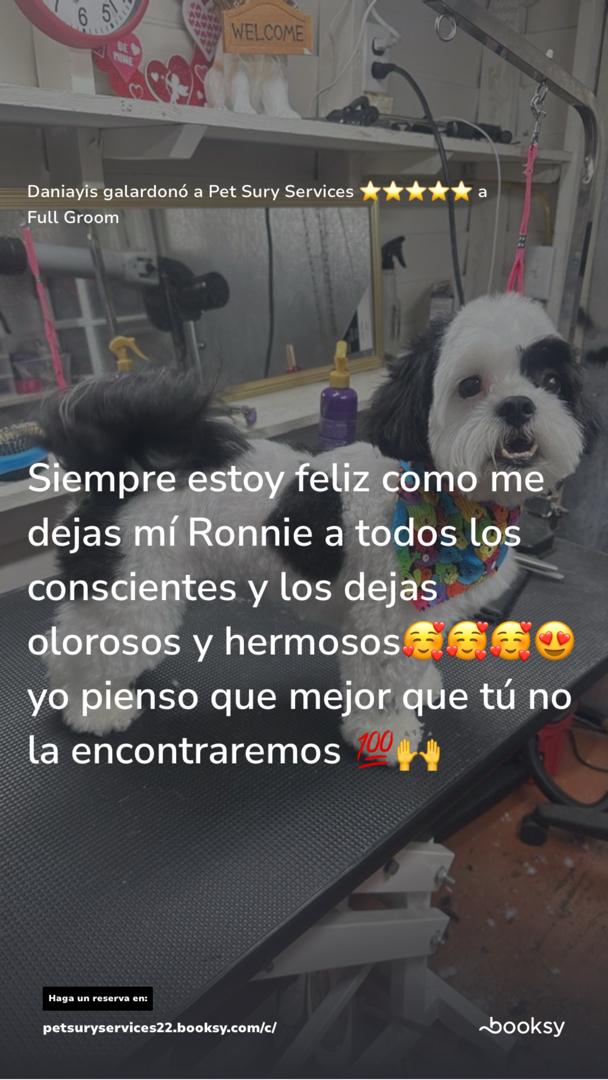 Opinión 2