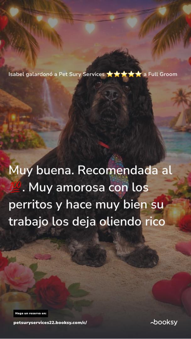 Opinión 3