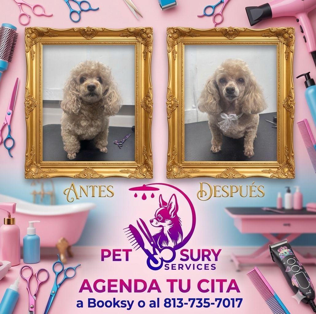 Antes/Después