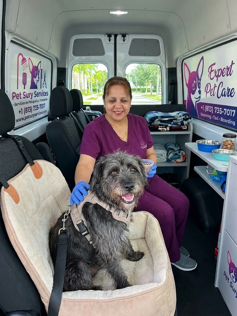 Pet Taxi